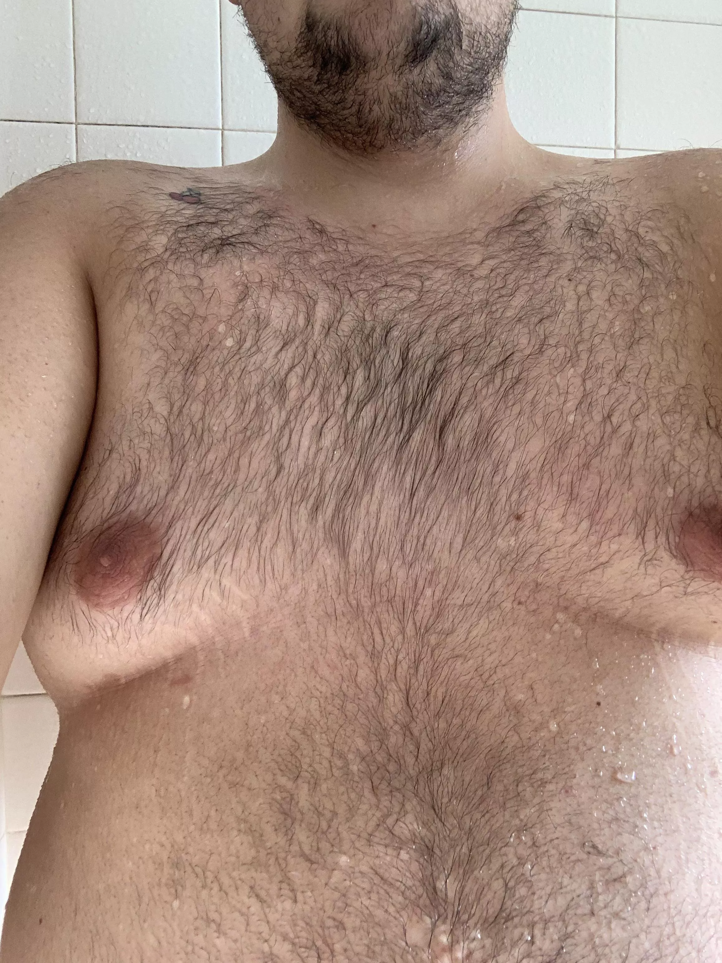 21 M Bear Boy 🐻 I want my nipples pierced. What do we think? Also love my chest fur 😋