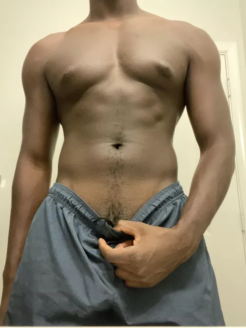21 M Fit BBC Bull in Miami