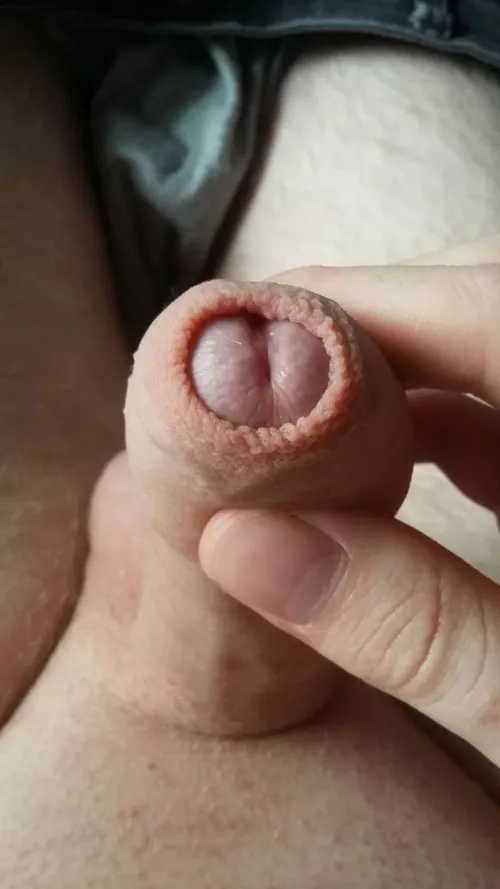 [25] Thought it looked cute hehe... idk