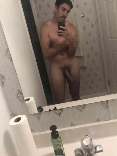 31 year old Texas Bull.