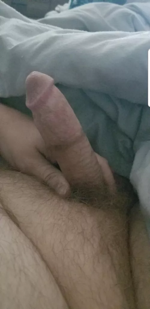 (35) looking for other chubby small dick guys to jerk with