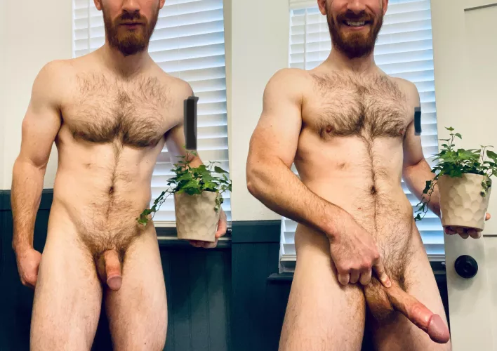 [35] My Ex’s house plant isn’t the only grower around here. Her loss.