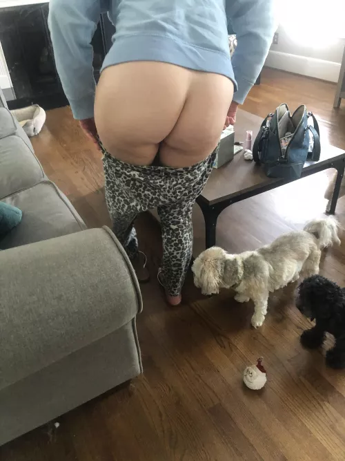 48 year old wife. We just finished some fun on the couch;)