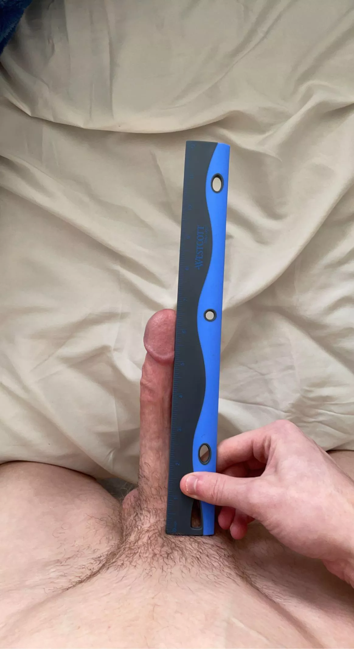 6.5 inches