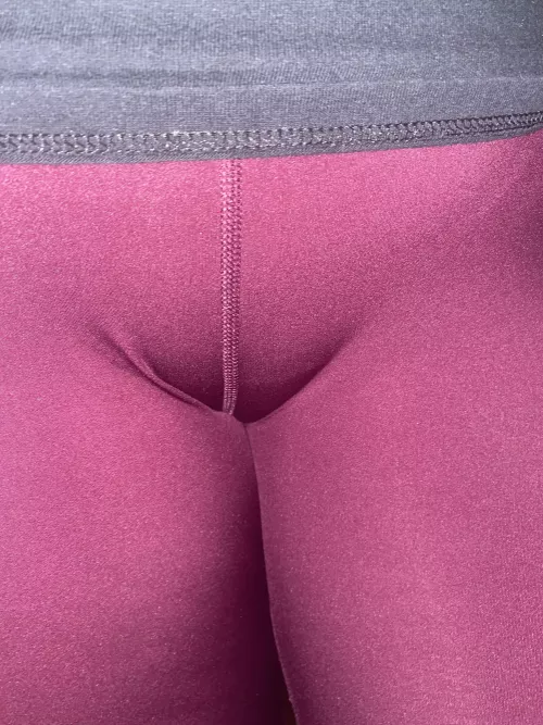 A perfect and juicy cameltoe!!