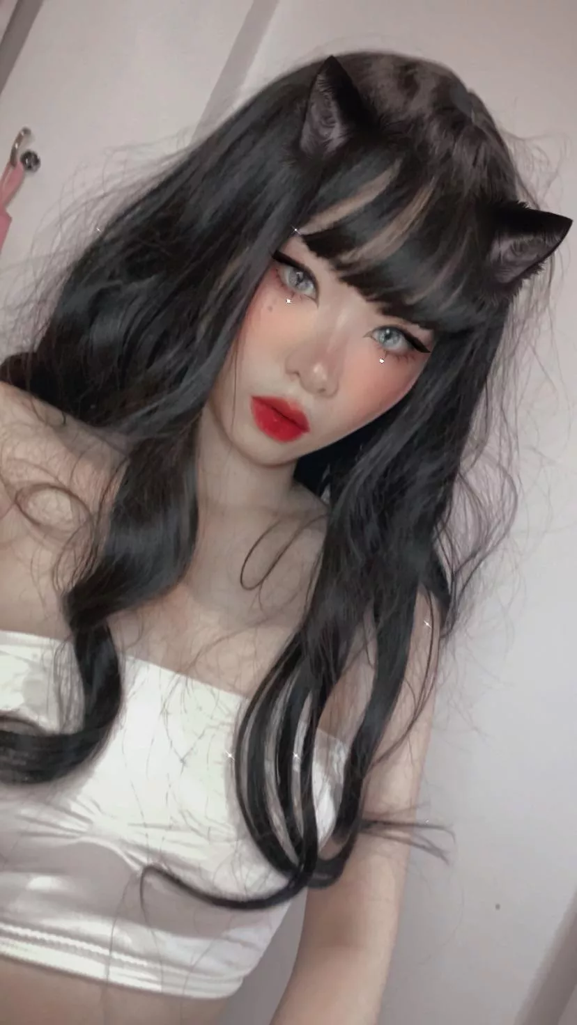 Adopt me 🐈‍⬛