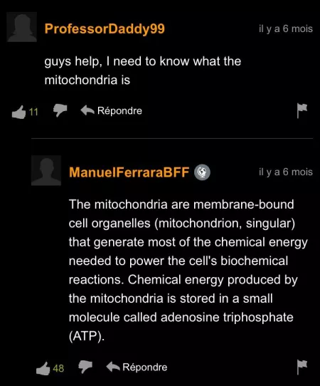 Ah yes, pornhub; the educatory online classroom.