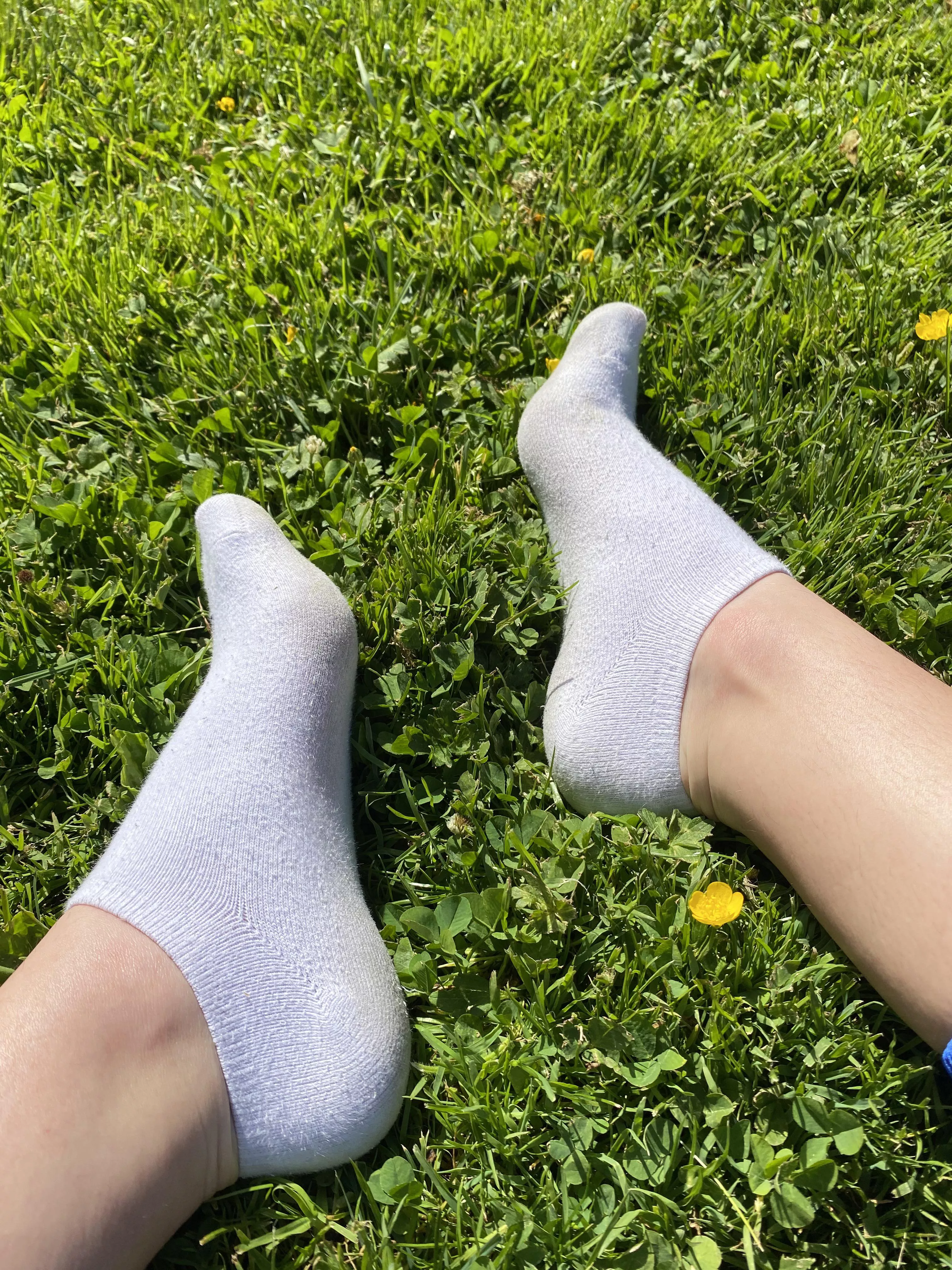 Airing out my socks today 🌞