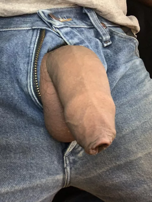 All covered up cuz it’s cold