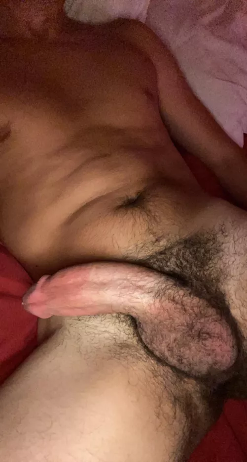 Any bros into hairy thick cocked bros ? Any bros into hairy thick cocked bros ?
