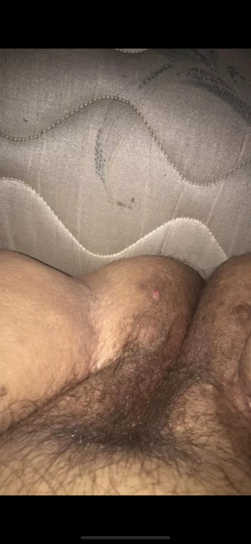 Any Florida guys wanna use me?