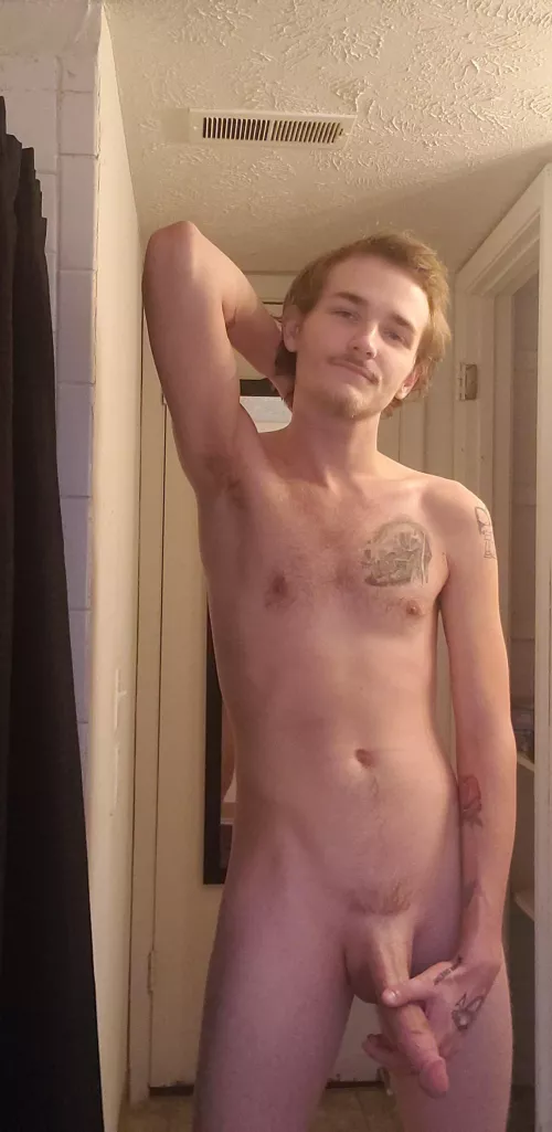 Any night owls wanna nest up on my wood?