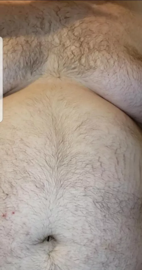 Anybody Like? Anybody Like?