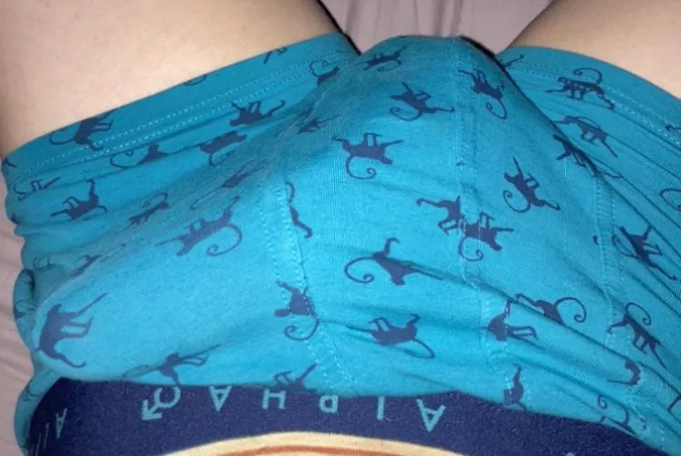 Anyone up for monkey business?