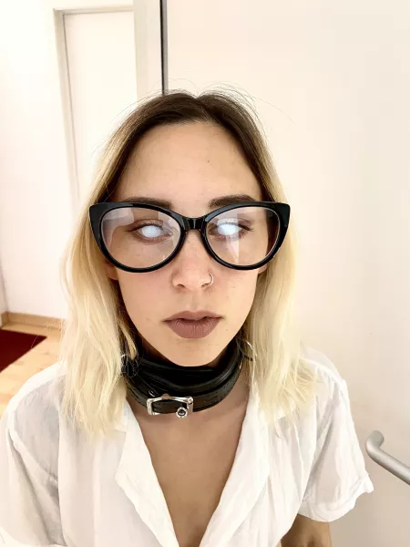 As long as I have my collar on I dont need to see where Im being taken