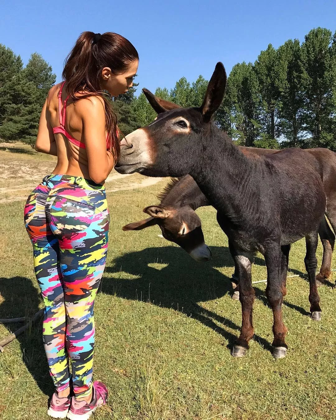 Ass & Ass❤