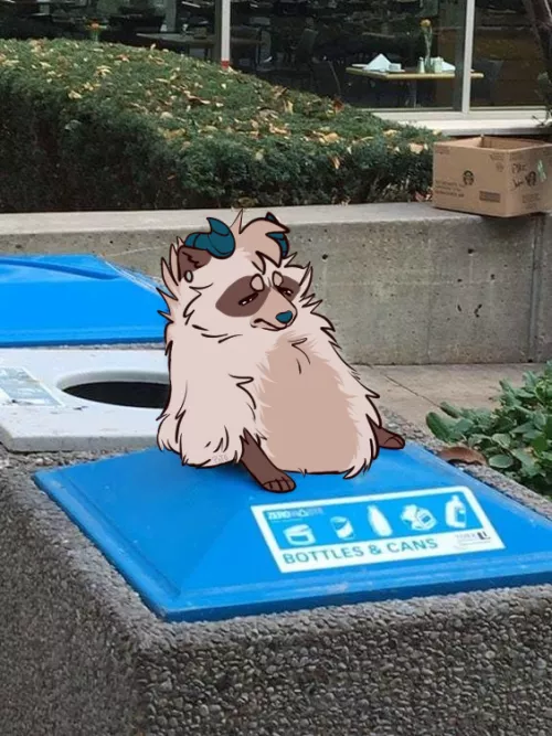 Back to drawing my fursona over funny raccoon pics!