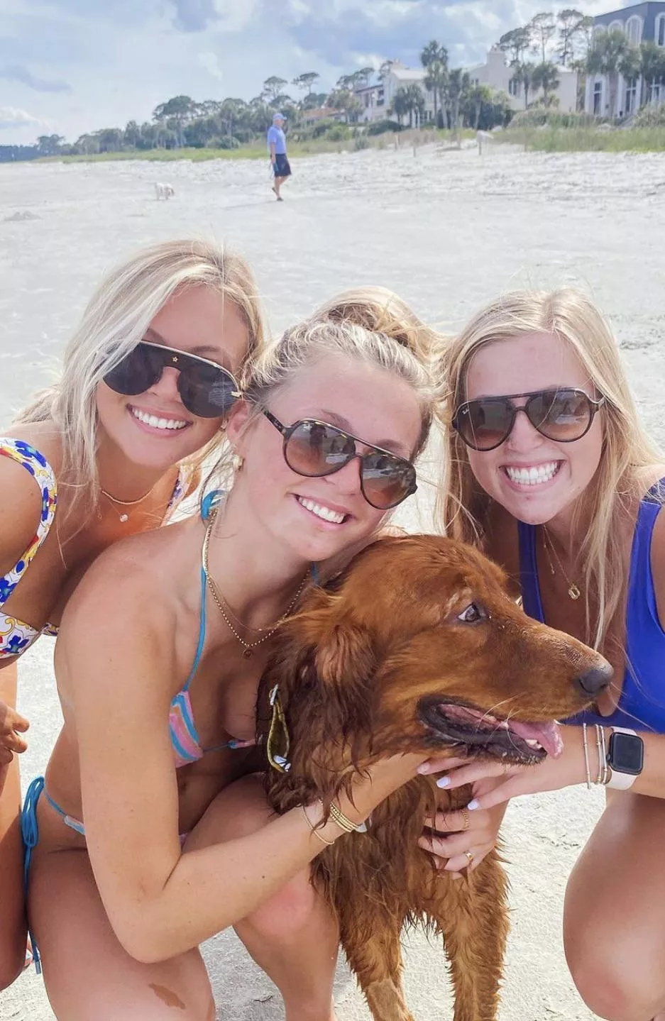 Beach dog