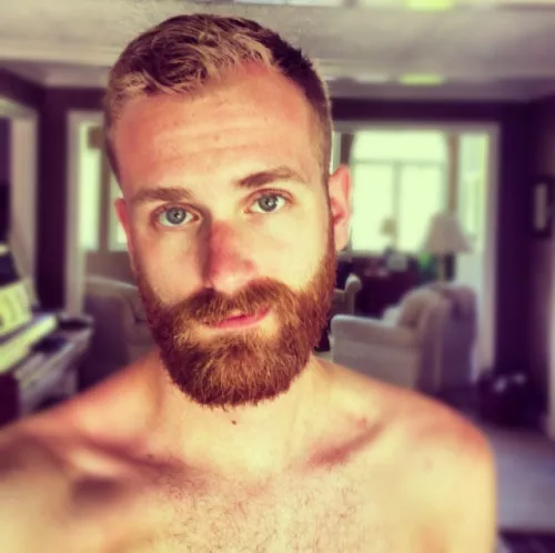 Bearded Ginger