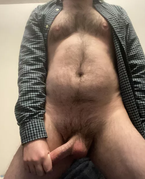 BIT = Bear In Training 🐻