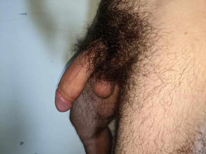 Bit fuzzy Bit fuzzy