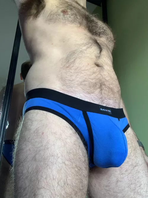 💙Blue. 🩲Briefs. 🍆Bulge.