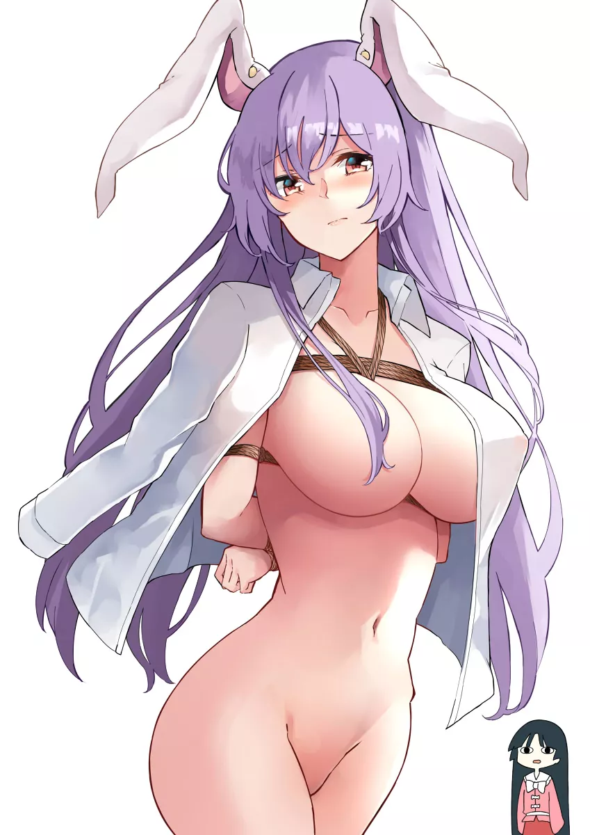 Bound bunny