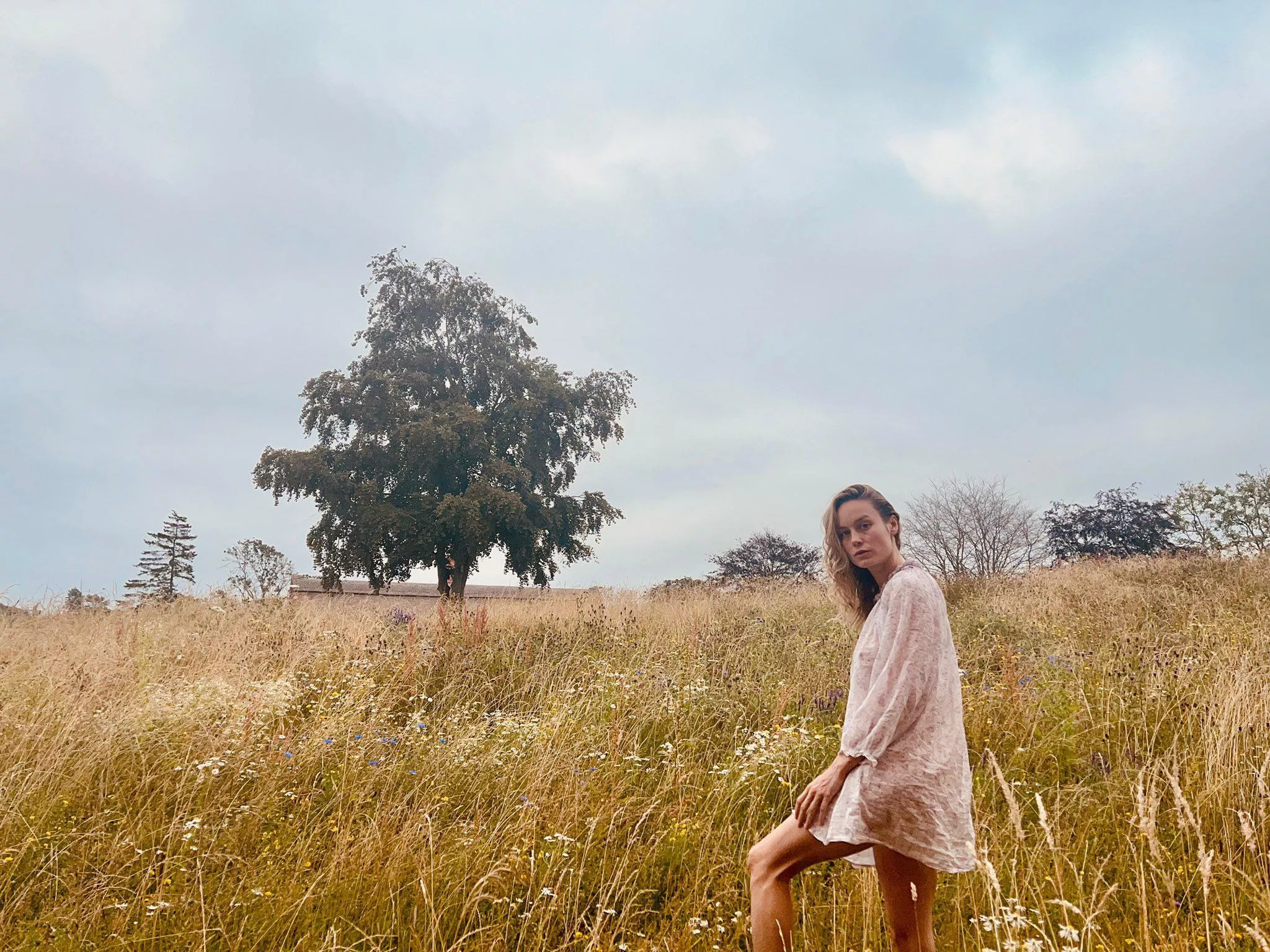 Brie Larson “Folklore Core” Brie Larson “Folklore Core”