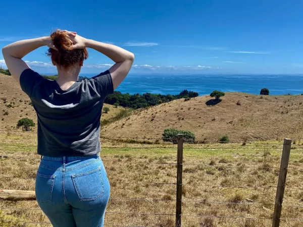 Bryce Dallas Howard has the best ass