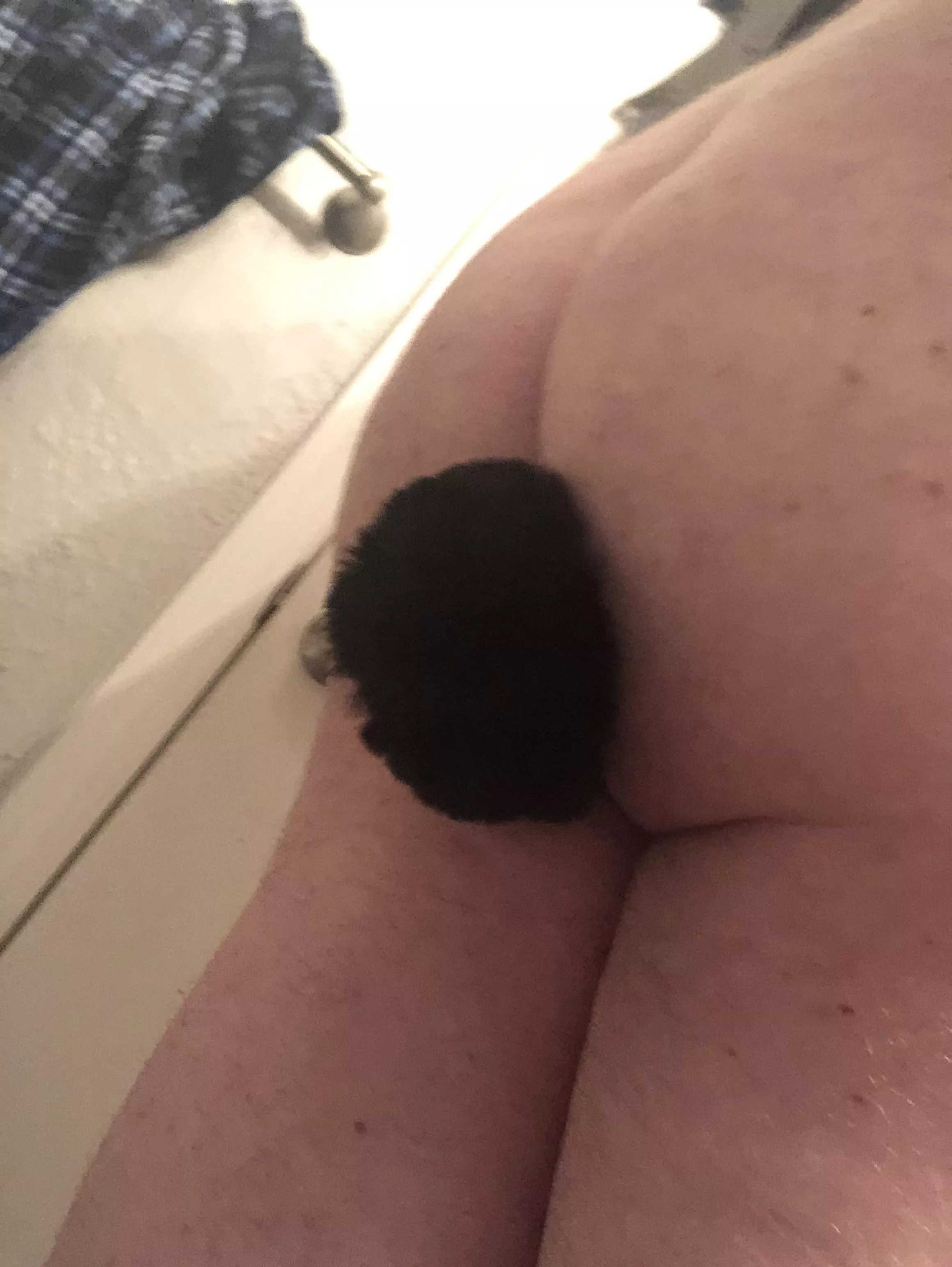 Bunny butt 🐇