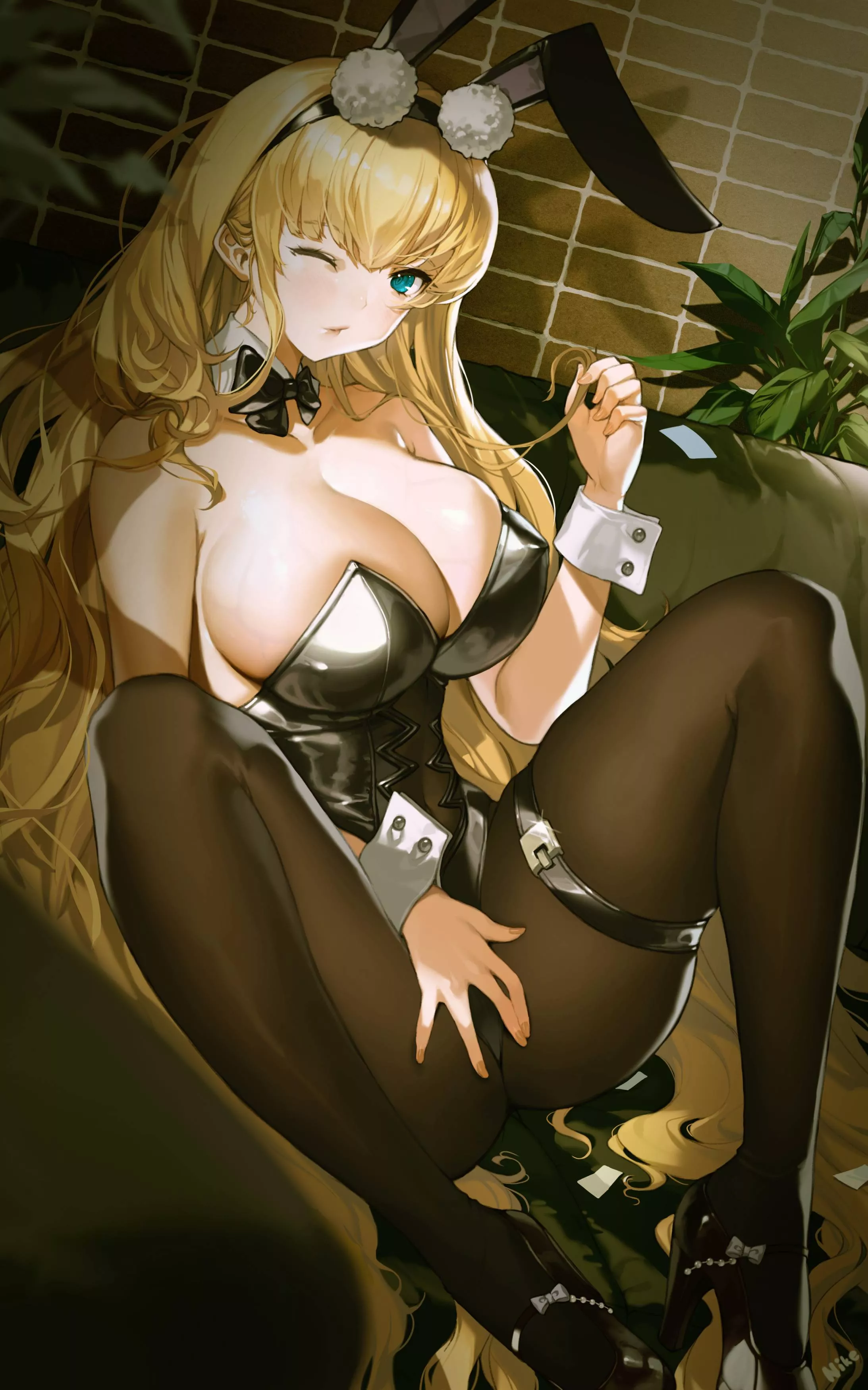 Bunny N.Carolina