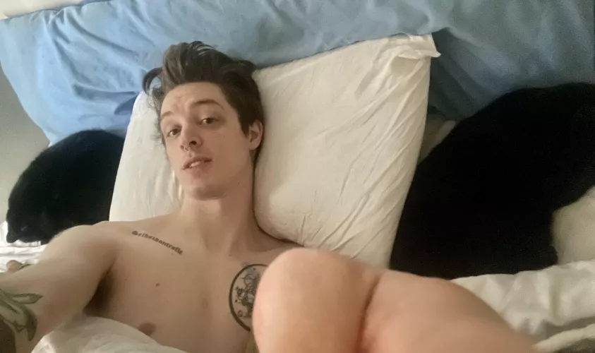 Can’t log in to Endwalker, still, so gonna stay in bed with the cats. Can’t log in to Endwalker, still, so gonna stay in bed with the cats.