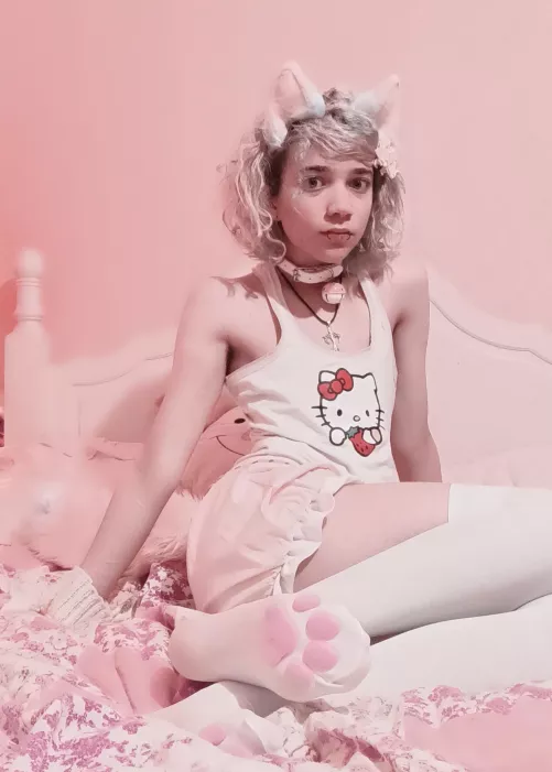 cat beans + butt ^•x•^