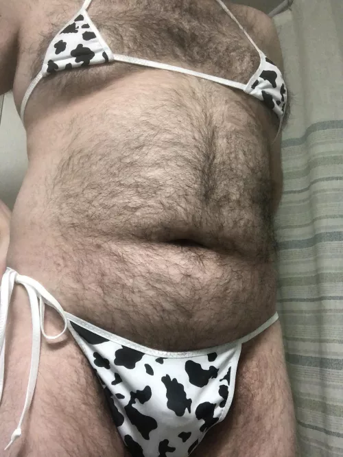 Chubby cow looking for a bull 🐮