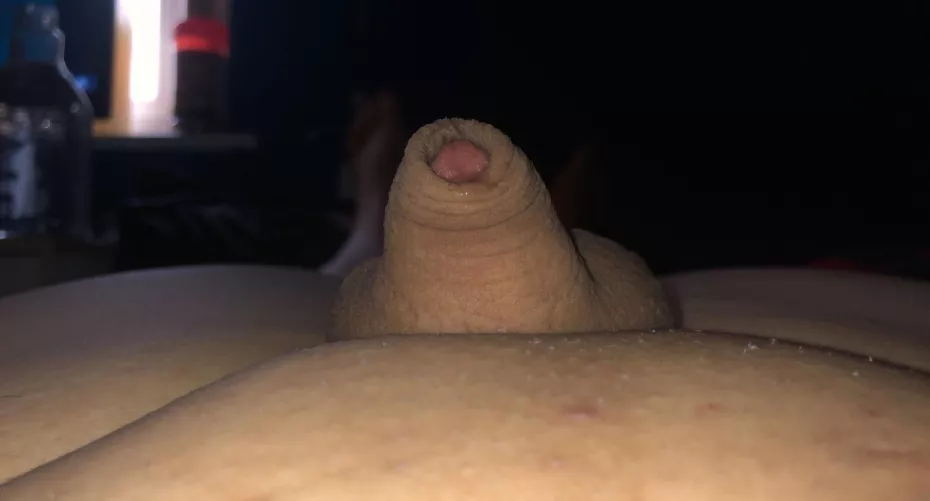 Clitty or pp