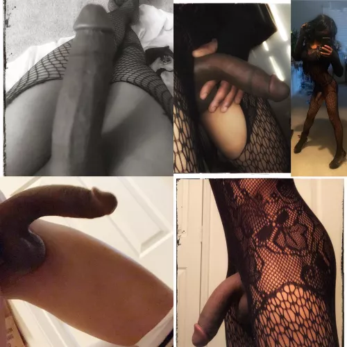 Cock Overload!!!🍆💦💦