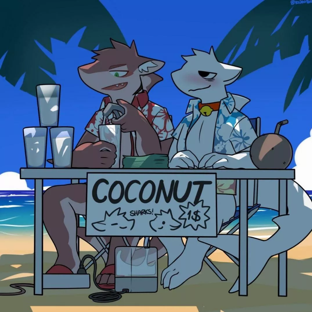 Coconut Island (Hacony)