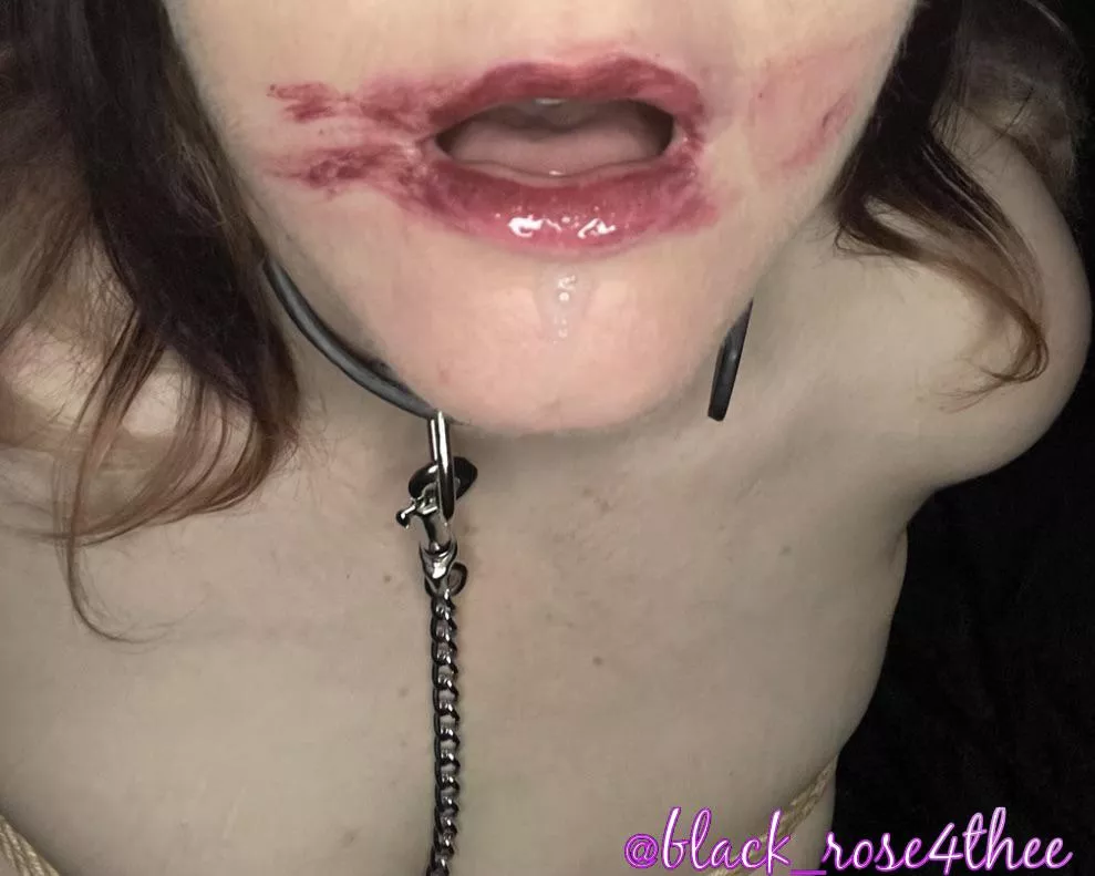 Collared, used and drooling