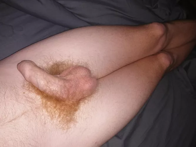 Come help me get hard and get off please.