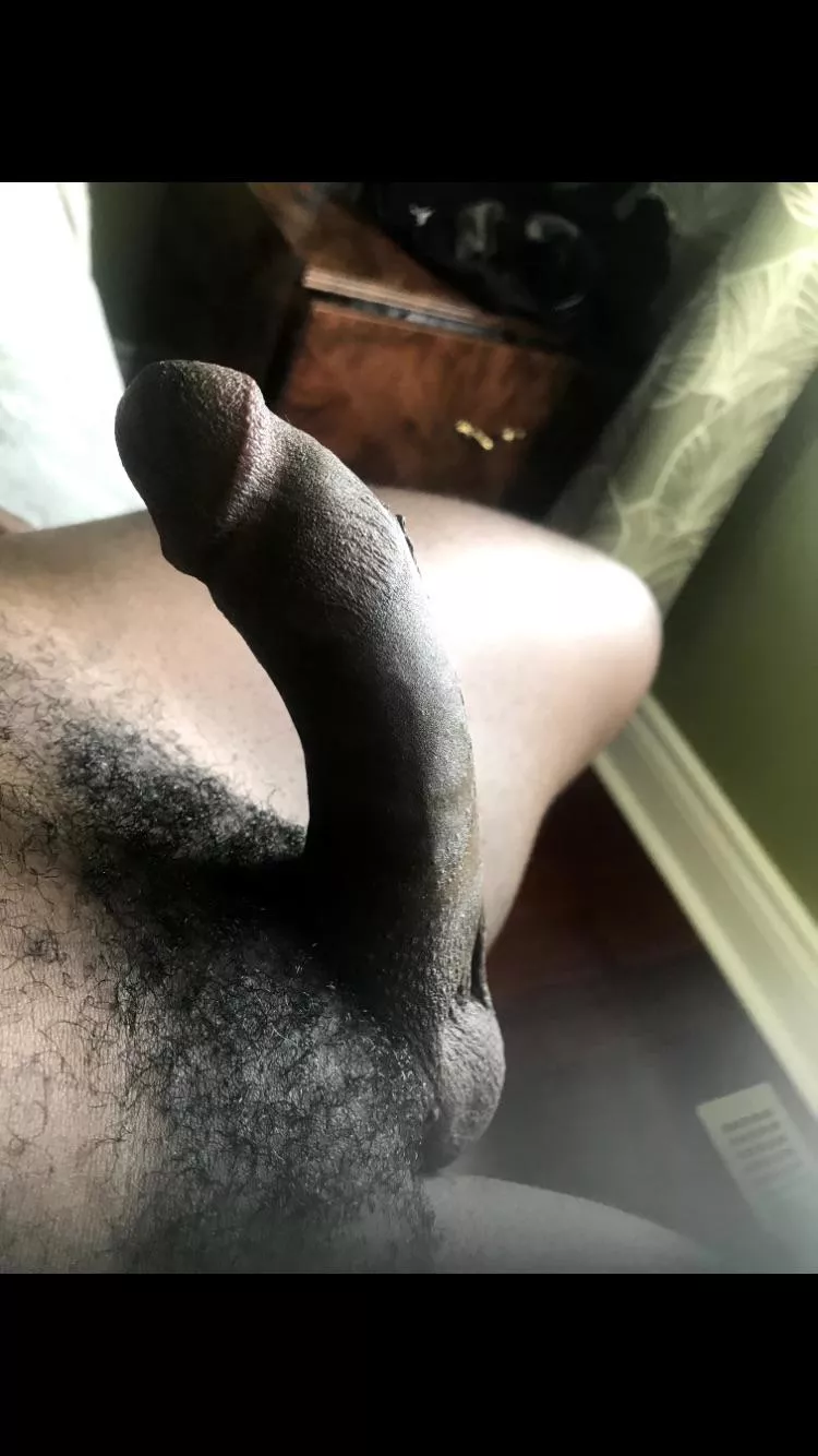 Come show me your dick sucking skills on my virgin cock