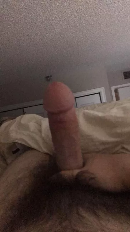 Compare? Kik fermi49