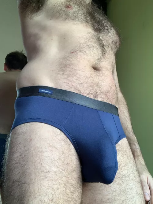 Couldn’t resist they feel of more David Archy briefs