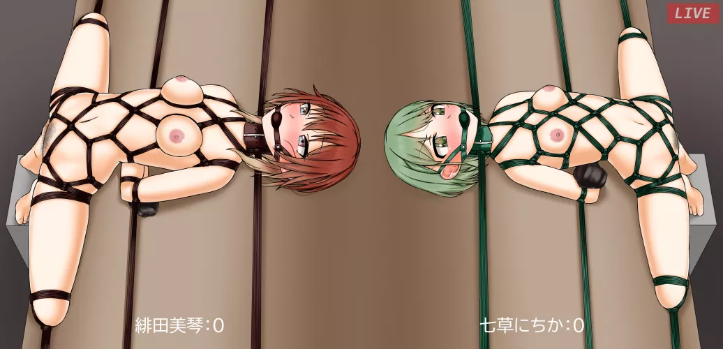 creampie competition is now LIVE