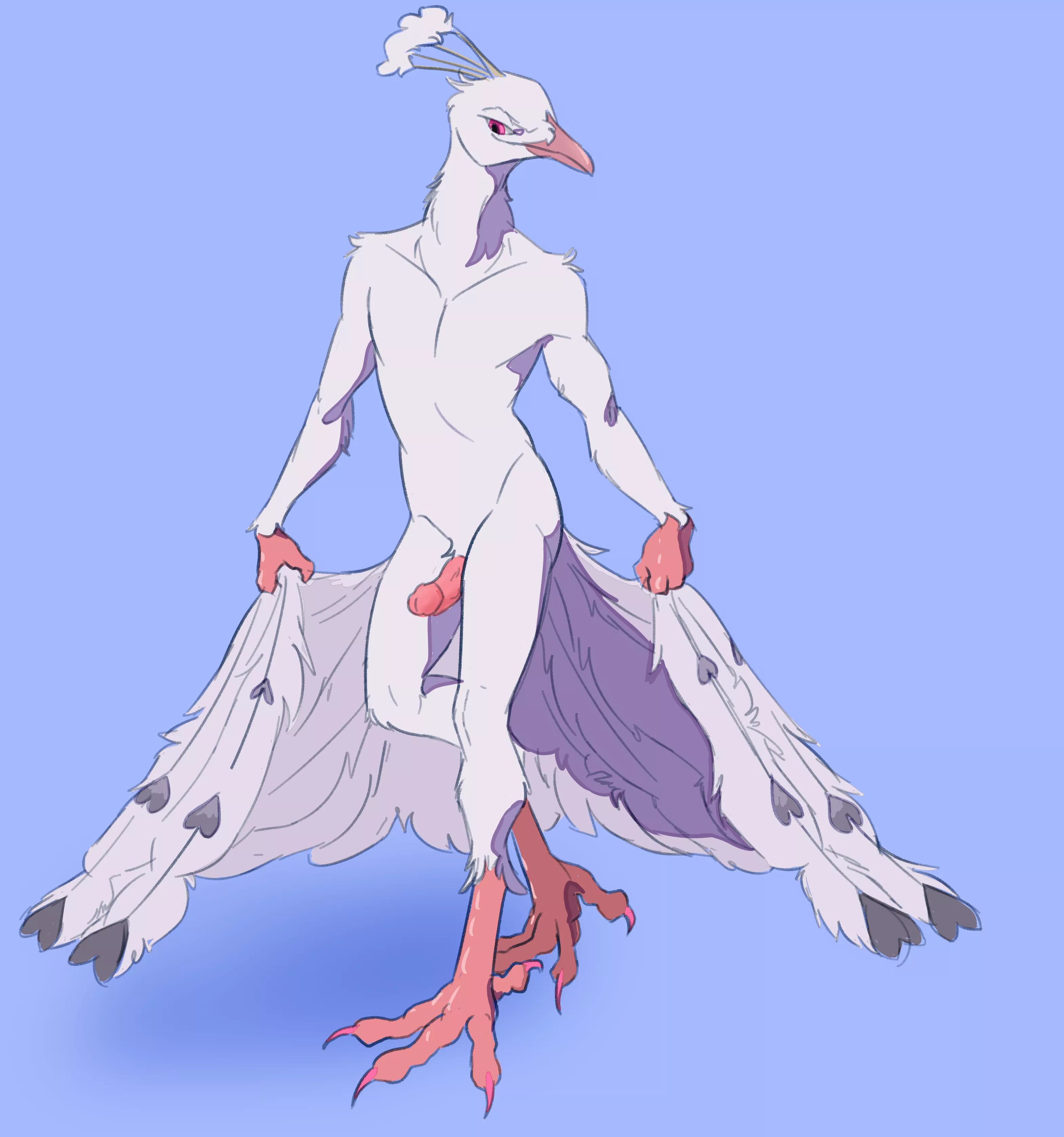Curtsy (Asurii)