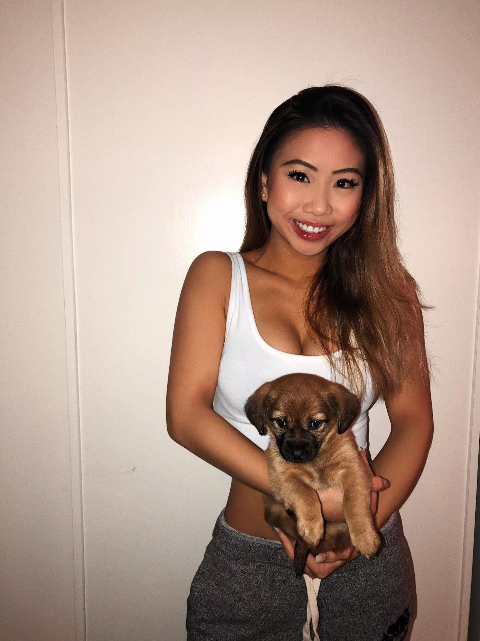 Cute dog