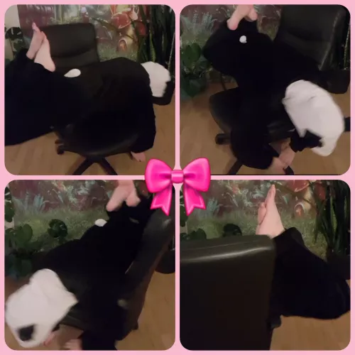 Daddy is sleeping an I is bored..🙄 an dizzy.. I bored an dizzy! 🥴