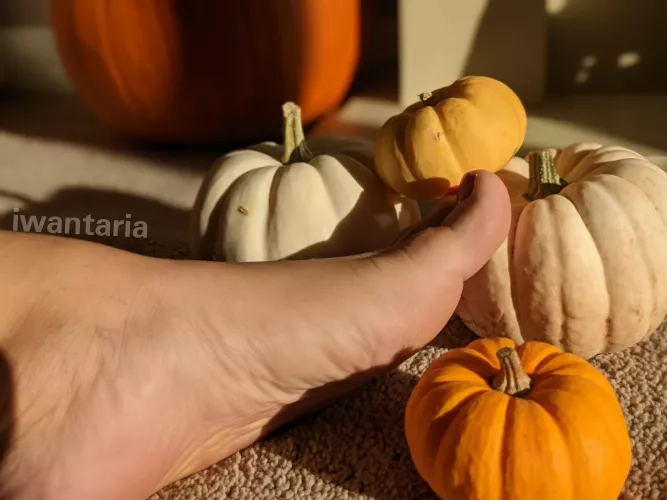 Day light is my favourite for taking photos ☺️