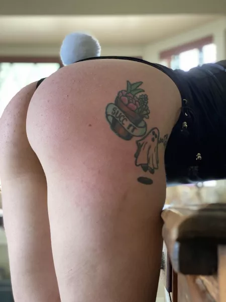 Do you like my tail? 🐰🥺