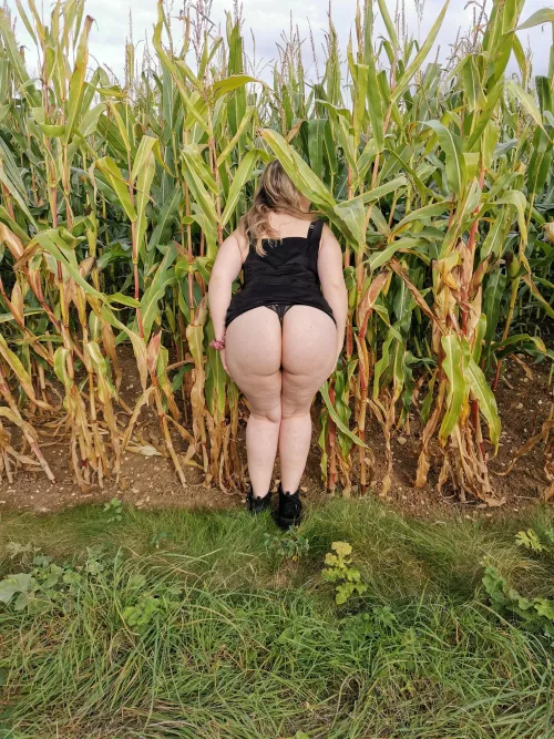 Do you wanna play hide a seek in the corn field with me 🌽😜