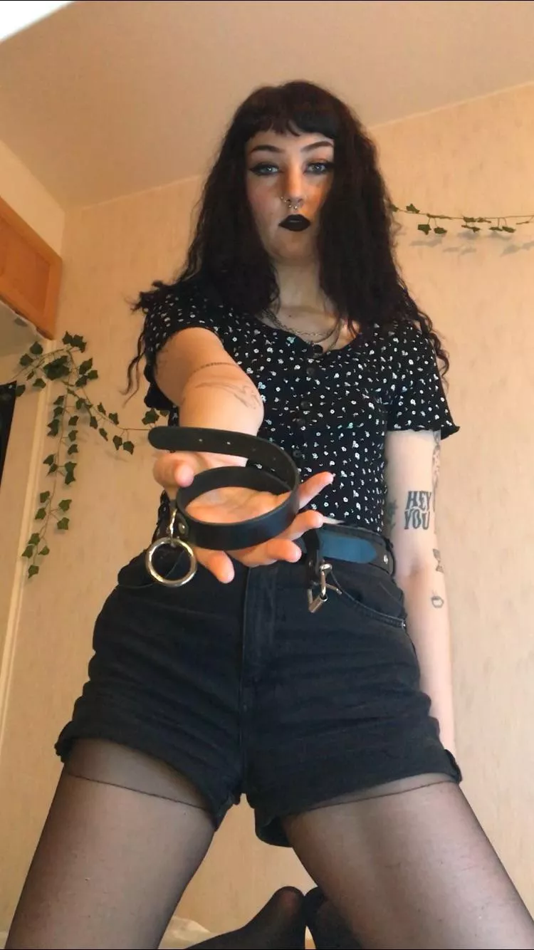 [domme] it’s time to put this collar on you bitch